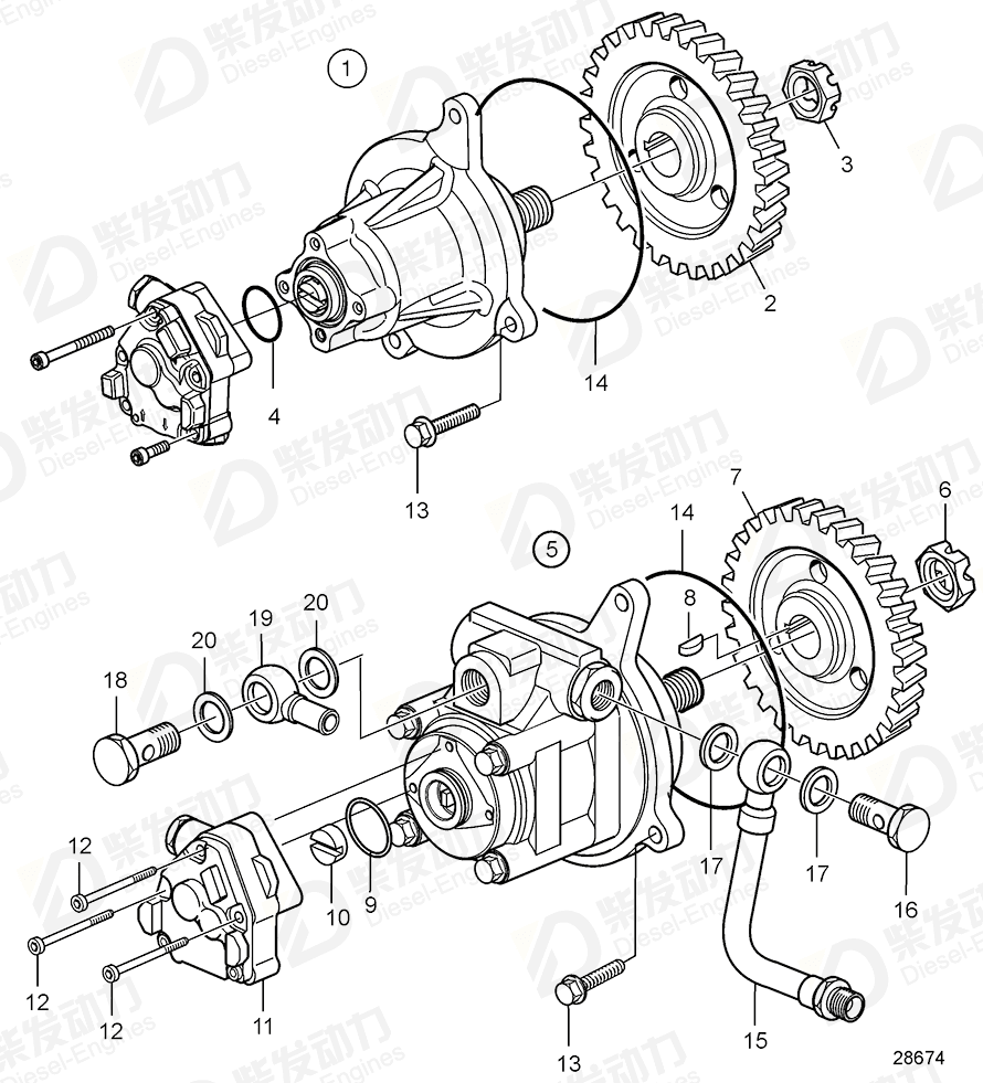 volvo penta Tandem pump 20902698 Drawing volvo penta Tandem pump 20902698 Drawing